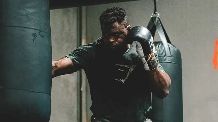 Фрэнсис Нганну покинул PFL после одного боя в лиге превью