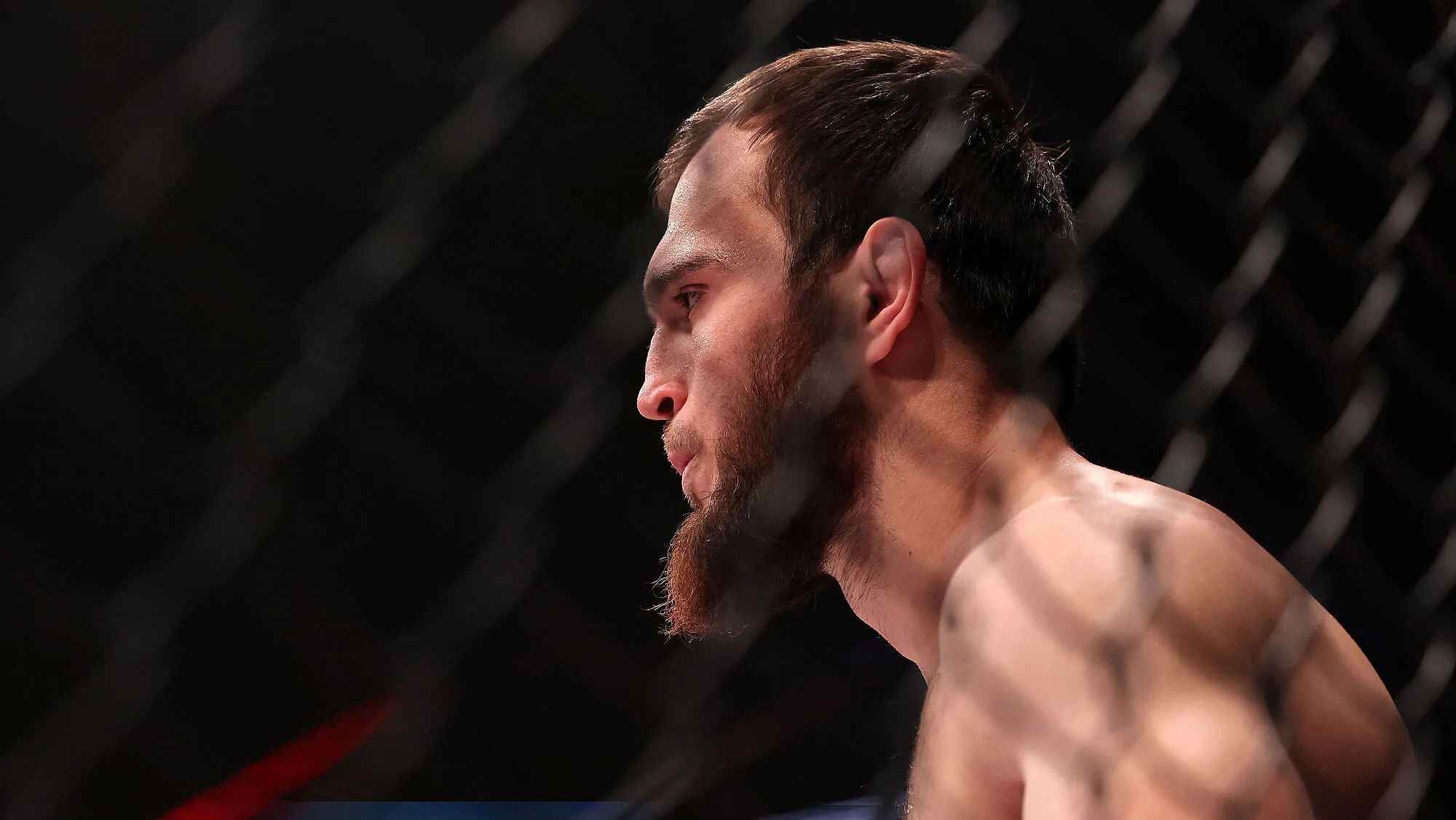 Магомедов встретится с Романовым на Fight Nights 144 превью