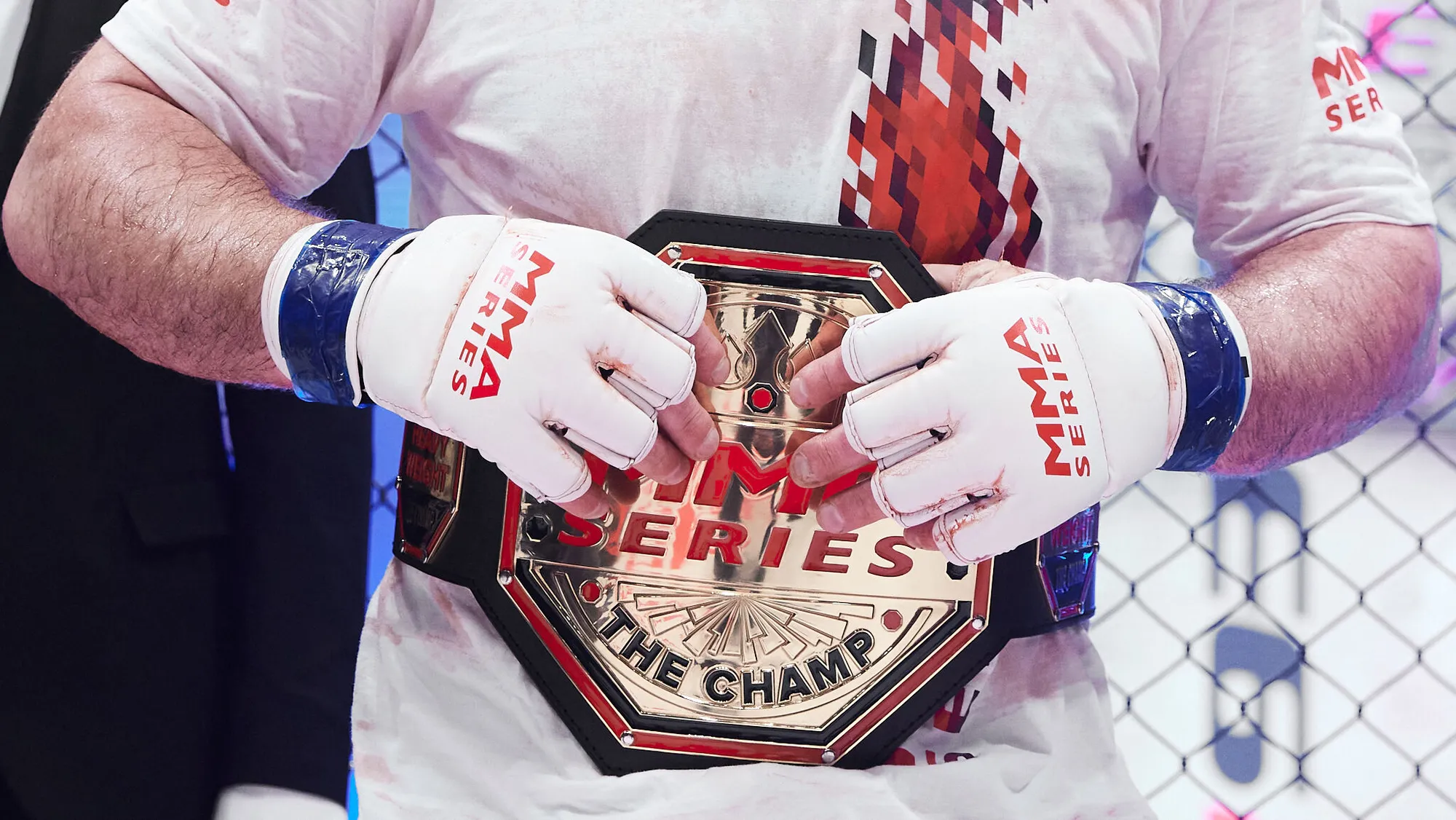 MMA Series-93: New Heavyweight and Lightweight Champions! превью